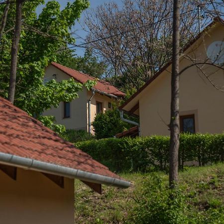 Tulipan Apartman Eger Buitenkant foto