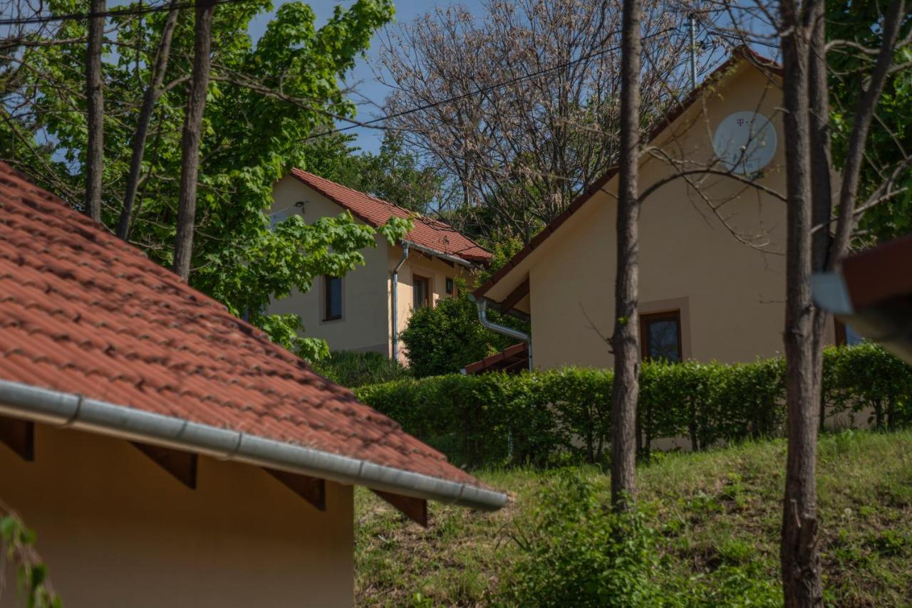 Tulipan Apartman Eger Buitenkant foto